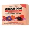 Urban Dog Shampoo Solido per cani Orange Color 100gr | URBAN DOG