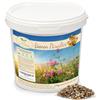 Magic of Nature: Miscela di Semi di fiori - Paradiso delle Api 1 kg