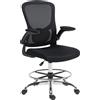 HOMCOM Sedia Moderno da ufficio ergonomica con supporto lombare 4D e braccioli ribaltabili, 60x60x108-132 cm, nero | Aosom Italy