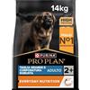 Purina Pro Plan Optibalance Large Robust Adult Crocchette Cane 14kg
