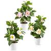 PASCH Fiori artificiali (camelia (trio))
