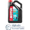 MOTUL Olio Motore Fuoribordo 4T 10W-40 Motul 5L | Yamaha, Suzuki, Selva