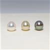 8,4-9,4 mm multicolore Akoya Pearl & South Sea & Tahitian Loose Pearl, semifo...