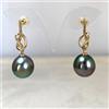 COMOTO Orecchini di perle di Tahiti ovali pavone 11,2 mm in oro giallo 14 carati ad ...