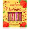 Burt's Bees Bee Mine 4x4.25 g
