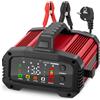 Haedswer 25A Caricabatteria da Auto, Caricabatterie per Auto LiFePO4 12V 24V, Caricabatte