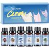 AESHORY Pulito Oli Essenziali per Diffusori 6 x 10ML, Set di Olio Essenziale per