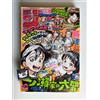 Weekly Shonen Jump 11/28 50 2022 - Japanese Magazine - One Piece 1066 Issue