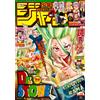 Weekly Shonen Jump 48 2020 - Japanese Magazine - Dr. Stone Cover