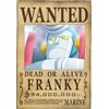 Il Nuovo Mondo ONE PIECE - Wanted Franky