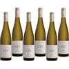 Cantina Tramin Kellerei Selida 2025 Gewurztraminer Alto Adige 75 cl 6 Bottiglie