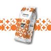 Pop Caffè 20 Kg Grani Pop Caffè Miscela Intenso per Bar e Distributori Automatici Intensa