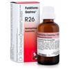 DR.RECKEWEG & CO. GMBH Reckeweg R26 Gocce 22 Ml