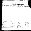 Mc - Lucio Battisti - Cosa Succederà Alla Ragazza (C.S.A.R.) Nuovo e CD Columbia