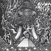 B02456C9 CD - The Sonic Dawn Enter The Mirage