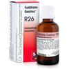 DR.RECKEWEG & CO. GmbH Reckeweg R26 22ml Gtt