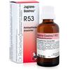 DR.RECKEWEG & CO. GmbH Reckeweg R53 22ml Gtt