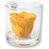 Premium-rose.com Box tondo con rosa gialla stabilizzata Profumata, in plexiglass trasparente da 9cm con Rosa gialla Vera Eterna | Idea Regalo Mamma, 50 anni, bomboniera | Fatto in Italia (Gialla 1043)