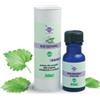 SANTIVERI SA TEA TREE OLIO ESS BIO 15ML