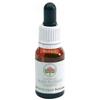 BUSH BIOTHERAPIES PTY LTD Green Remedies Australian Bush Black Eyed Susan Gocce 15 Ml