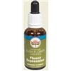 BUSH BIOTHERAPIES PTY LTD Bush Flower Essences Fiori Australiani Fluent Expression Gocce 30 Ml
