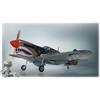 Phoenix Model P40 WARHAWK 50/60cc CARBON ARF + DLE 55 RA Aeromodello riproduz...