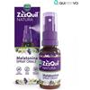 Procter & gamble srl VICKS ZZZQUIL NATURA SPRAY 30ML