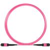 oem - no brand Oem Cavo Patch a 12 Fibre MTP-F/MTP-F OM4 Code A 3m