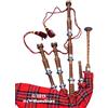 McWilliams Cornamusa, Cornamusa Scozzese Professionale Highland con Supporti FNS in Tartan Royal Stewart e Custodia