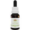 Little Flannel Flower 15 Ml ml Olio essenziale