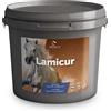 EQUALITY Srl LAMICUR 2000G