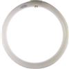 BOT LIGHTING Circolare trifosforo T9 32W 4200K - LR322T