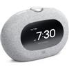 JBL Horizon 3 Grigio Chiaro JBLHORIZON3GRYJN Altoparlante Bluetooth Sveglia A...