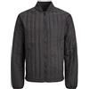JACK & JONES Bestseller A/S Jjecity Liner Jacket Noos Giacca Trapuntata, Nero, M Uomo