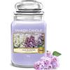 Yankee Candle Candela Profumata | Lilac Blossoms Grande Barattolo | Candele a Lunga Durata: fino a 150 Ore | Regalo Perfetto per Donne