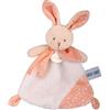 Baby NAT ' - Doudou - Piatto da bambino morbido, coniglio Lumibrille, collezione I Brille nella notte - Idea regalo nascita - Doudou Baby morbido facile da catturare e coccolare, lavabile in lavatrice