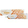 CEMON Srl Arnica crema gel 60g cemon - CEMON - 881503534