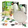 Dr. Daz Dino Uova Set di scavi per bambini, grandi uova Dino da scavare con 12 figure di dinosauro, set archeologico con strumenti, regalo per ragazzi dai 6 anni in su