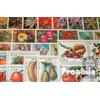 Prophila Collection Motivazioni 50 Diversi Fiori e Piante Francobolli (Francobolli per i Collezionisti) Piante/Funghi