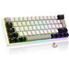 LexonElec Magic-Refiner 60% Wired Mechanical Keyboard QWERTY - Retroilluminazione RGB, Mini 61 Tasti,Cavo Staccabile & Supporto Regolabile,PBT, Hot-Swap, Cablata(Bianco stellato)