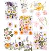 SOBEAU 66 Pezzi Fiori Secchi per Resina,Utilizzato per lo Styling Secco del Fiore Fai da te, la Decorazione Dell'album e l'imballaggio Del Regalo