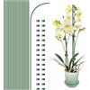 canddy 20 picchetti di supporto per piante con 30 clip per piante, bastoncini per piante da interni ed esterni, clip e pali per orchidee, alti 40,6 cm, pieghevoli, a stelo singolo, paletti pieghevoli (verde