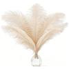AOOTE Grandi Naturale Piume, 12 Pezzi Piuma di Struzzo Naturale, 25-30cm Piume Decorative, per Matrimoni, Lavori Artigianali, Abbigliamento, Decorazioni Natalizie, Feste a Tema, Personaggi, Champagne