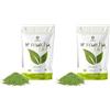 ERBOTECH Tè Matcha BIO, The Verde Giapponese Biologico in Polvere, Busta da 100g, Multivitaminico Naturale al 100%, Vegan. Ideale per Dolci, Frullati, Tè freddo (Confezione da 2)