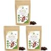 IDDA Herbal Datteri BIO Denocciolati Secchi Deglet Nour 1kg, Datteri Biologici senza Zucchero, Snack di Frutta (Confezione da 3)