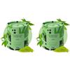 Matchaflix | Tè Matcha Premium 100% in Polvere | Grado Culinario | Tè Verde | 30g per 1 Mese (Confezione da 2)