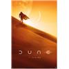Grupo Erik Poster Dune - Poster da Parete 61 x 91,5 cm con Carta Lucida e Incorniciabile, Colori Brillanti | Descorazione Cameretta, Licenza Ufficiale