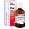 DR.RECKEWEG & CO. GmbH Reckeweg R22 22ml Gtt
