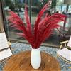 penepico Erba Pampa Alta per Decorazione, Grandi Pampas Floreali Soffice, Fiori di Piume Lunghe per Arredamento Boho Sala di Matrimonio (8 Pezzi da 80cm/31, Rosso Bordeaux)