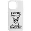 Cool Siamese Cats Fun Siamese Cat Design Custodia per iPhone 14 Pro Max Be A Siamese Cat Divertente Gatto Siamese